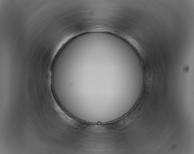 X0000090741476200708031535