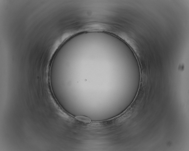 X0000090741477200708031535