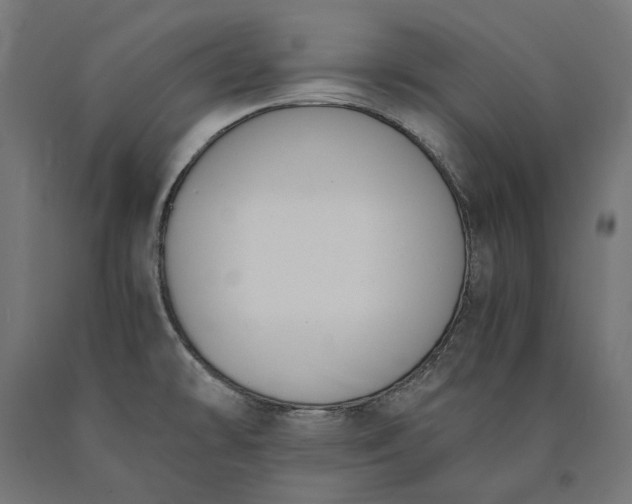 X0000090741478200708031535