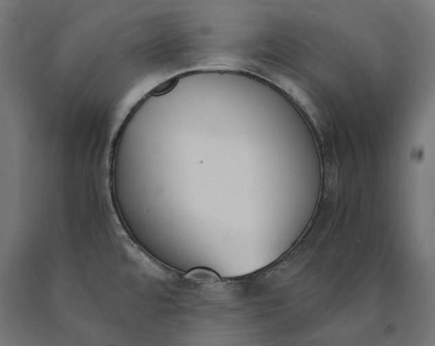 X0000090741480200708031535