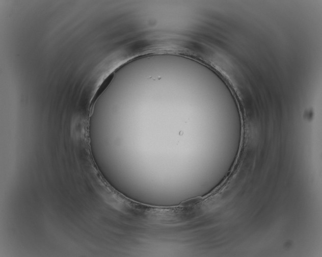 X0000090741481200708031535