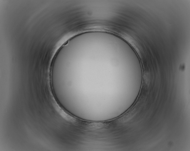 X0000090741482200708031535