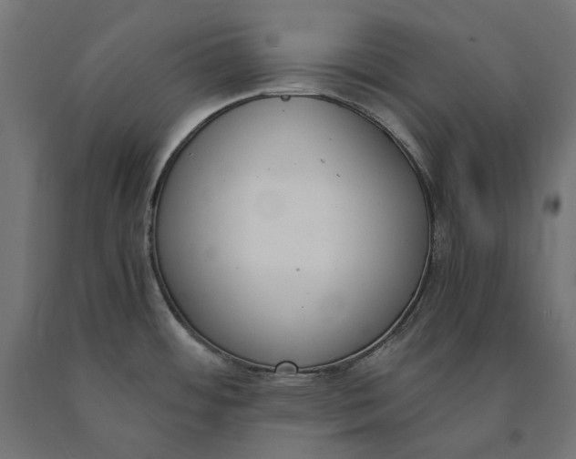 X0000090741484200708031535