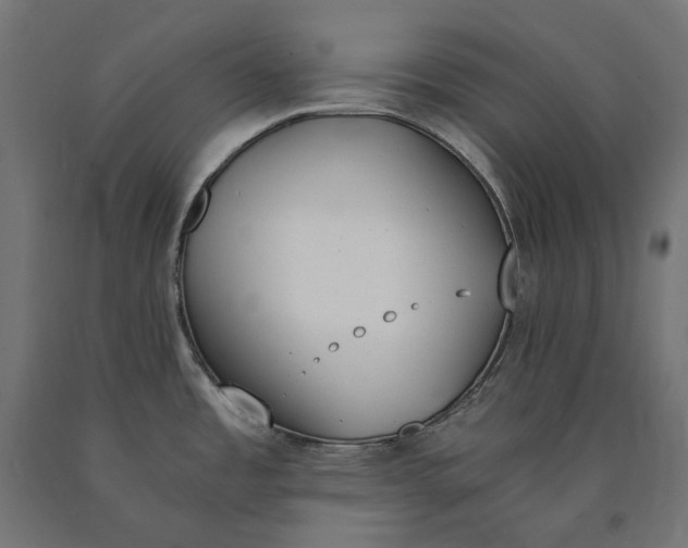 X0000090741485200708031535