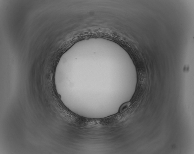 X0000090741489200708031534