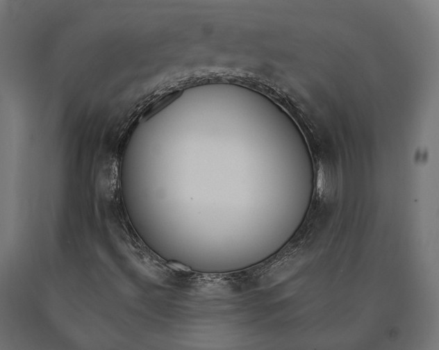 X0000090741492200708031534