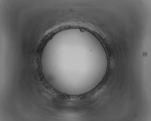 X0000090741494200708031534