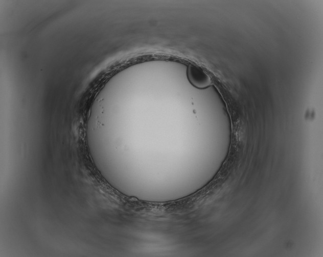 X0000090741495200708031534