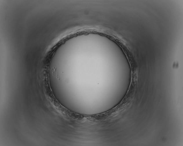 X0000090741496200708031534