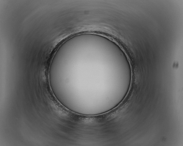 X0000090741497200708031534