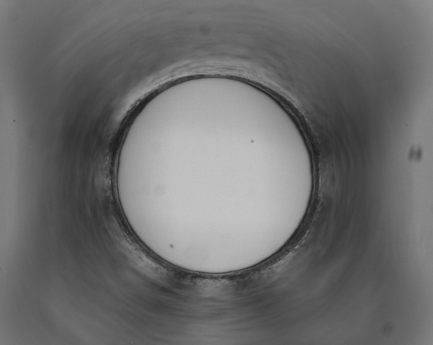 X0000090741498200708031534