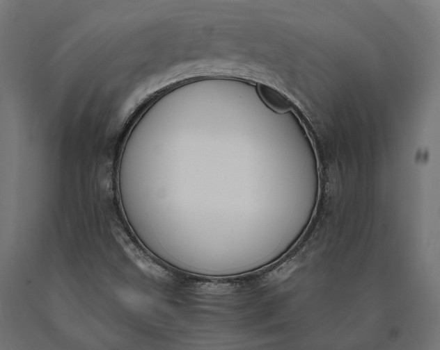 X0000090741499200708031534