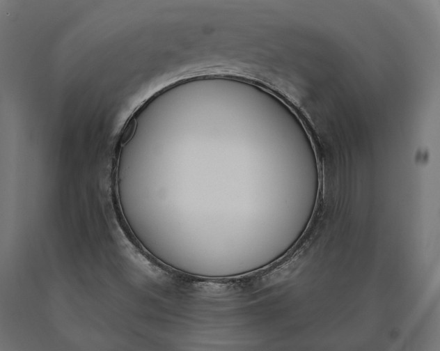 X0000090741500200708031534