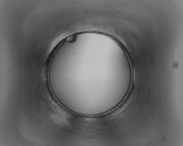 X0000090741501200708031534