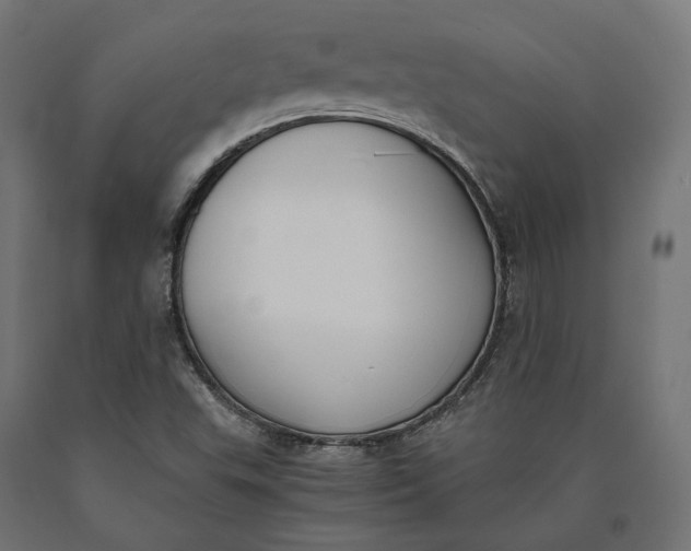 X0000090741503200708031534