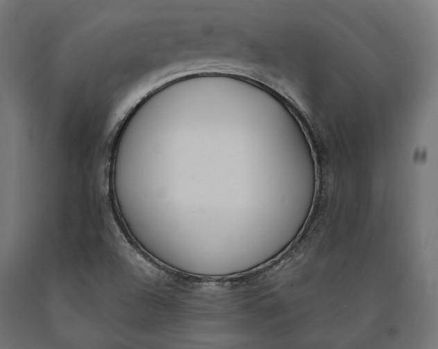 X0000090741504200708031534