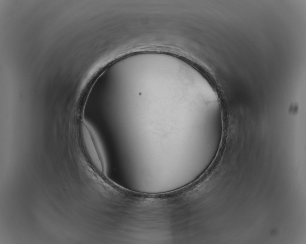 X0000090741506200708031534