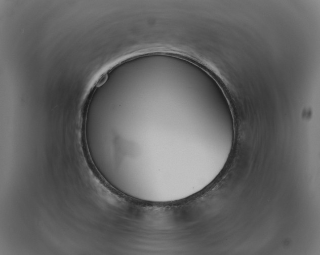 X0000090741508200708031534