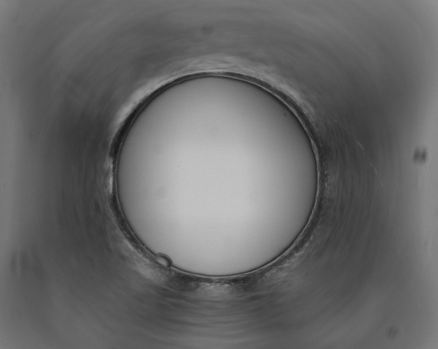 X0000090741509200708031534