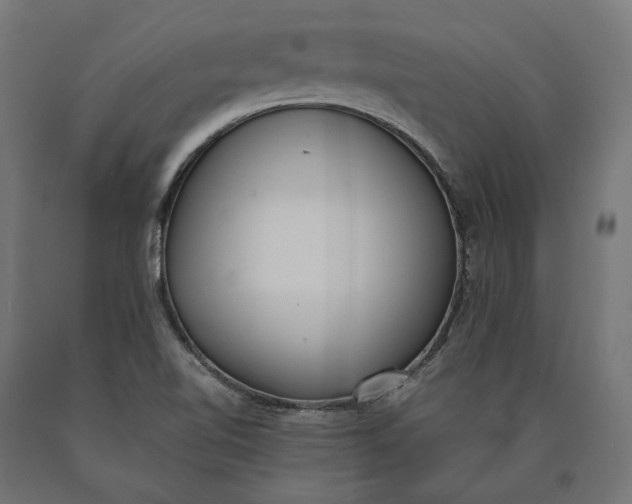 X0000090741510200708031534