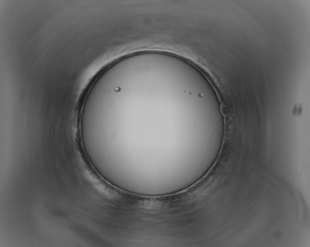 X0000090741511200708031534