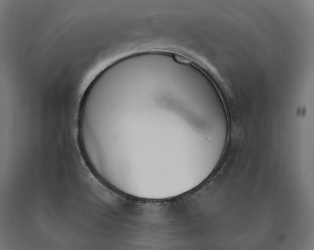 X0000090741512200708031534