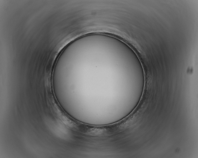 X0000090741513200708031534