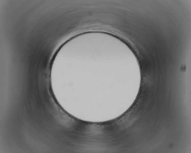 X0000090741514200708031534