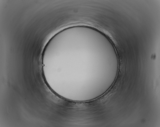 X0000090741516200708031534