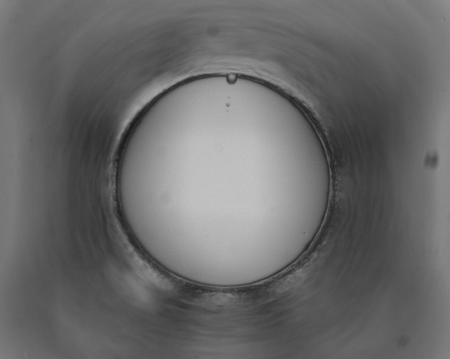 X0000090741517200708031534