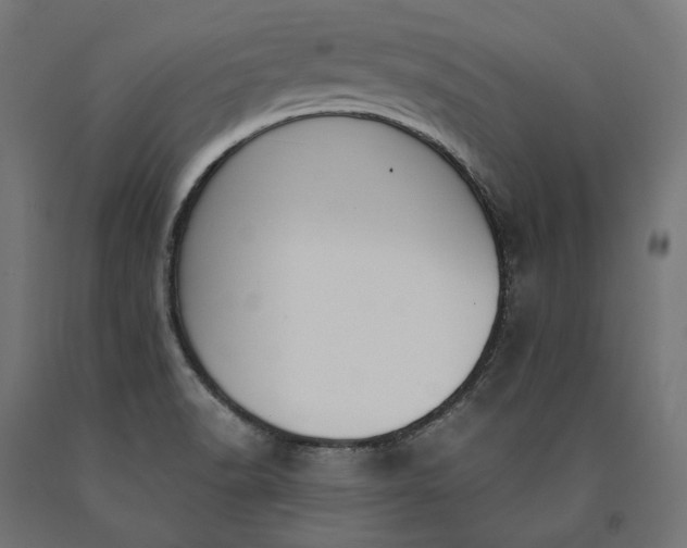 X0000090741518200708031534