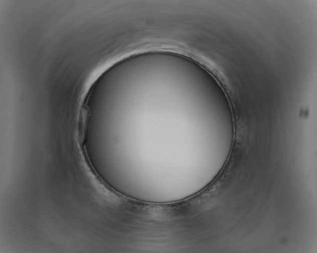 X0000090741520200708031534