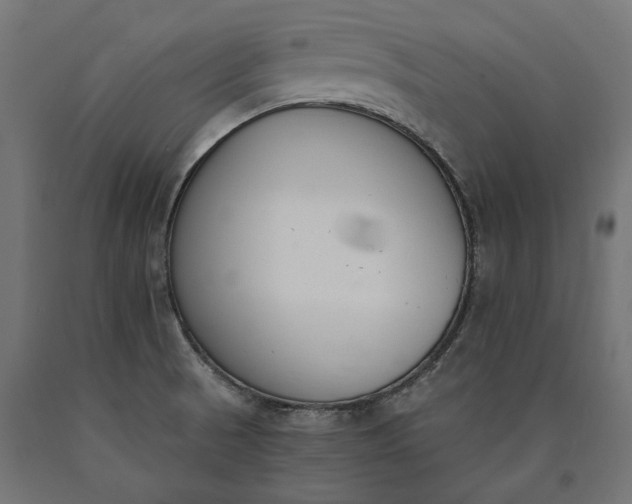 X0000090741521200708031534