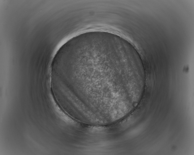 X0000090741522200708031534