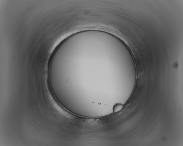 X0000090741523200708031534