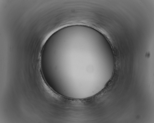 X0000090741524200708031535