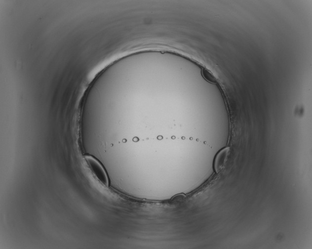 X0000090741526200708031535