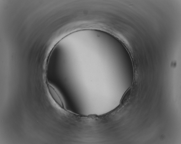 X0000090741528200708031535