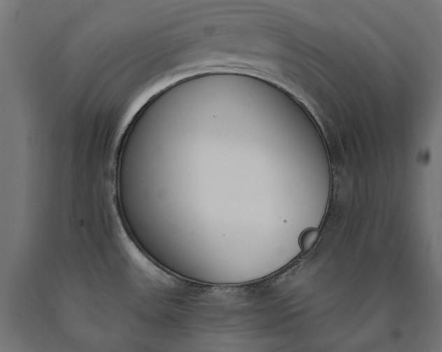 X0000090741531200708031535