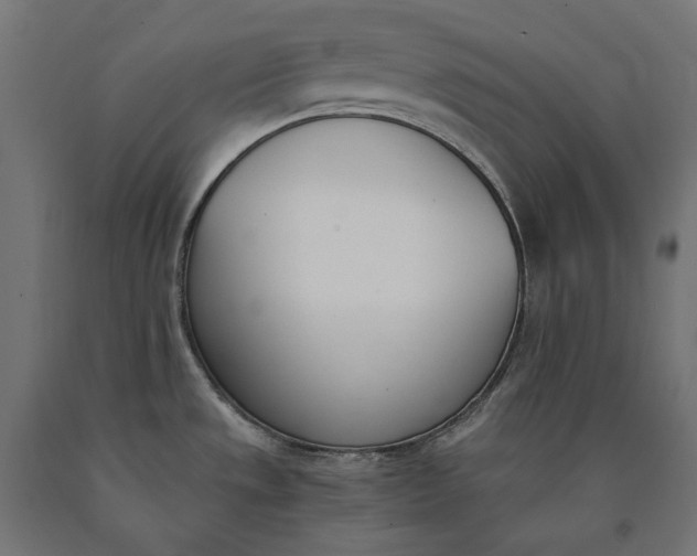 X0000090741533200708031535