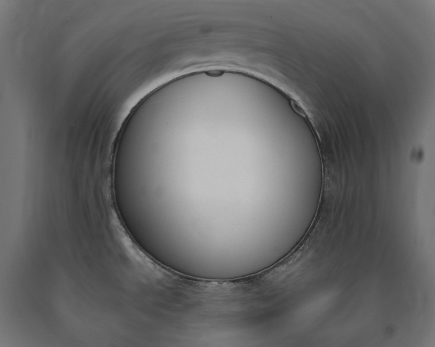 X0000090741534200708031535