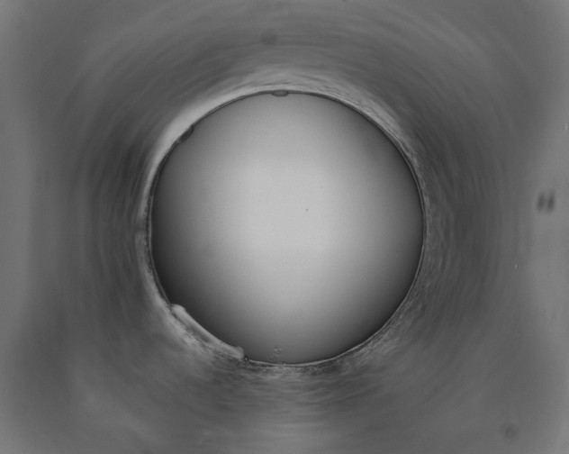 X0000090741536200708031535