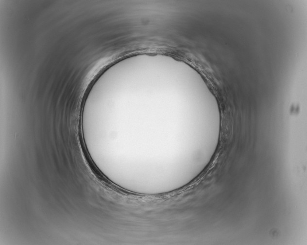 X0000090740003200708101713