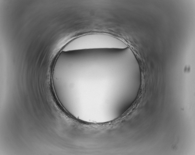 X0000090740005200708101713