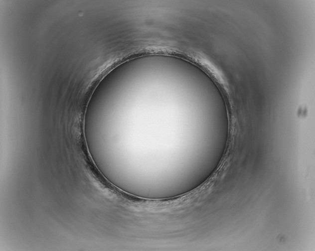 X0000090740009200708101713