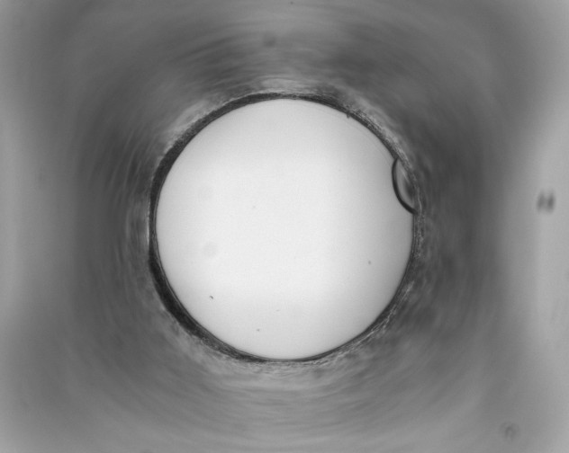 X0000090740011200708101713