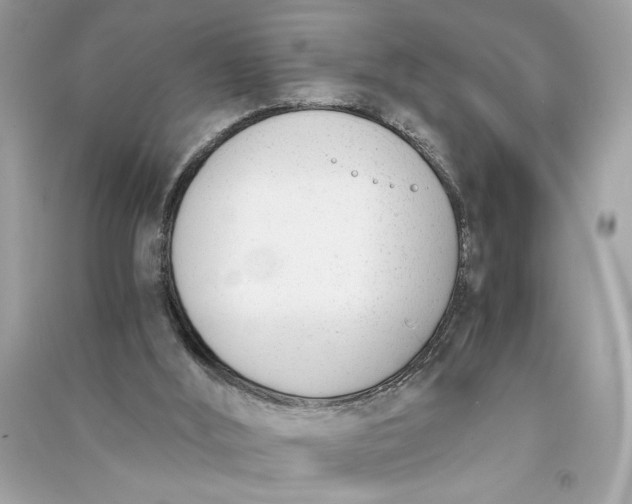 X0000090740012200708101713