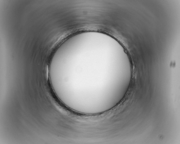 X0000090740013200708101713