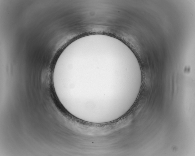 X0000090740016200708101712