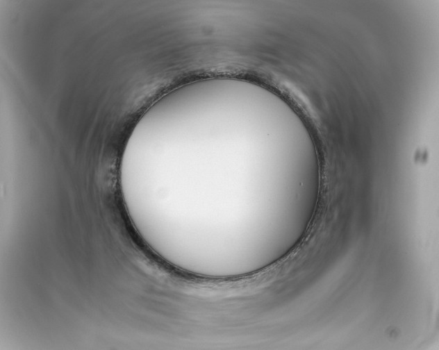 X0000090740017200708101712